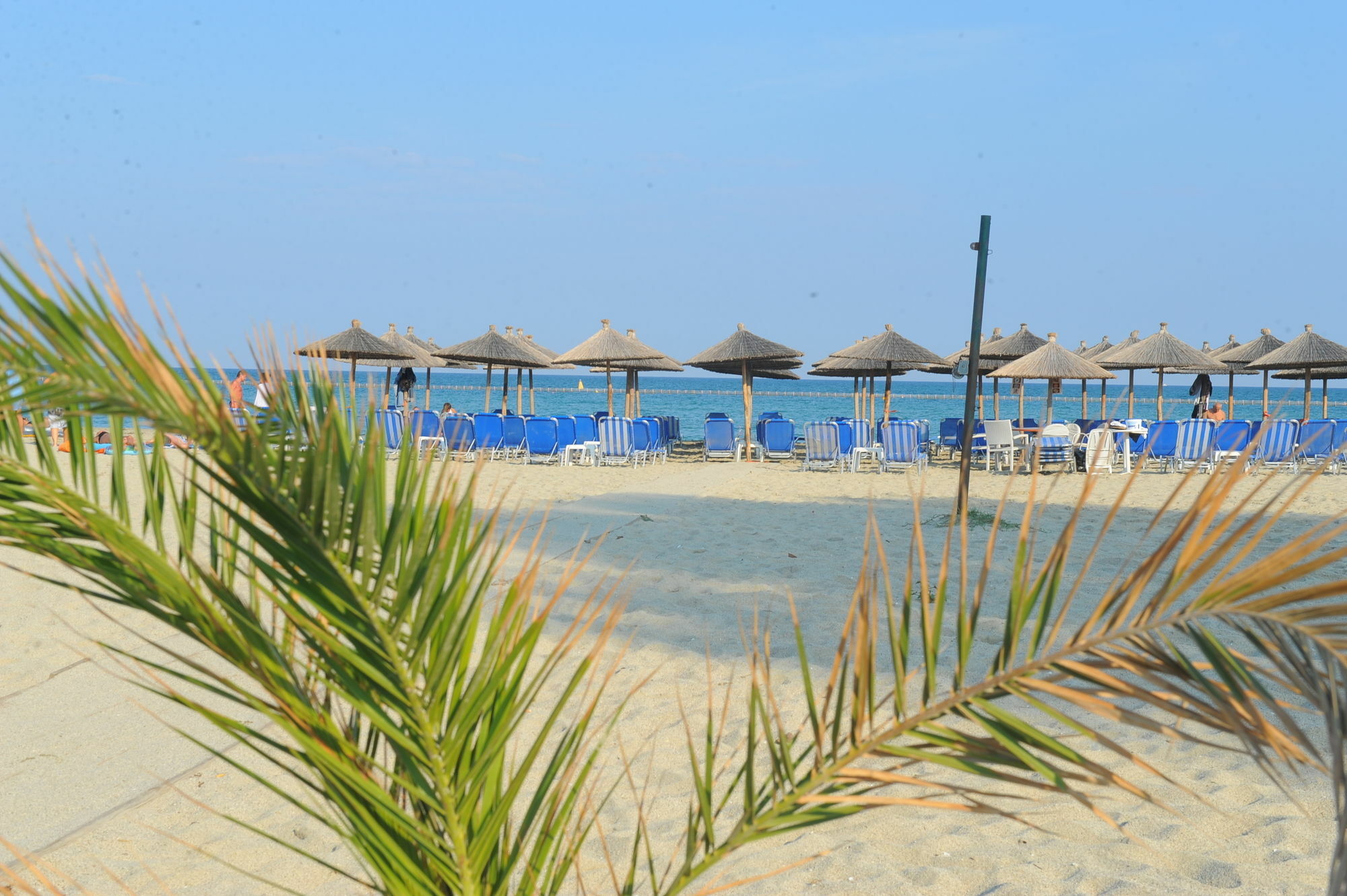 Hotel Platon Beach Olympiakí Aktí Ngoại thất bức ảnh